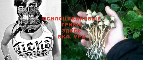 первитин Карпинск